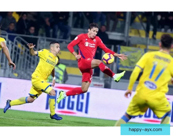 弗罗西诺内俱乐部新赛季引援布局与保级前景深度解析最新动态与战略调整