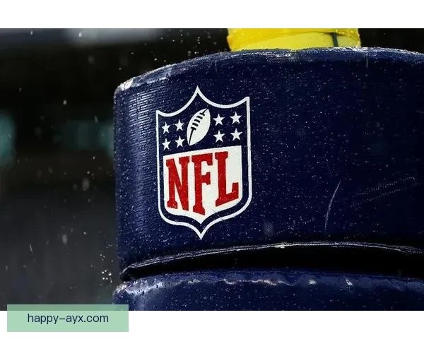 森林狼俱乐部重塑辉煌之路探索球队未来发展与青年才俊培养策略