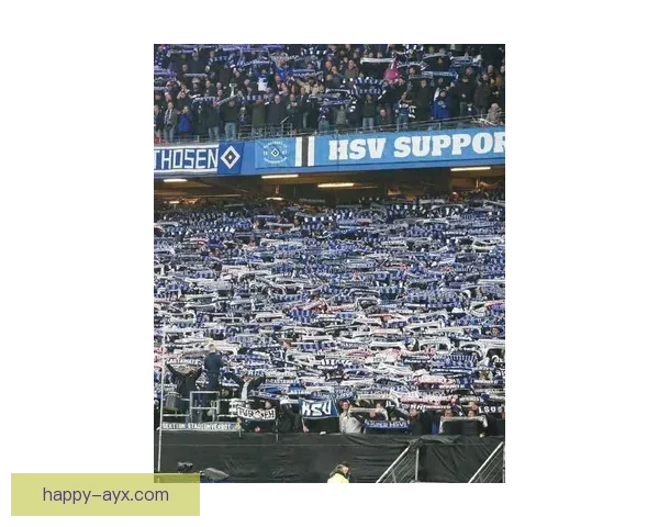 汉堡俱乐部迎来新赛季大变革球队阵容调整引发球迷热议 汉堡俱乐部迎来新赛季大变革球队阵容调整引发球迷热议